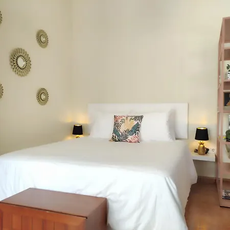 Apartment Bonito Y Acogedor Estudio - And Cozy